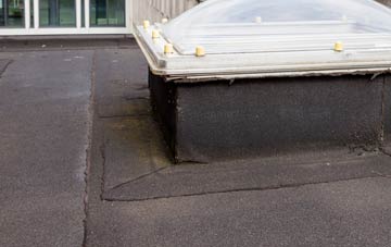 disadvantages of Goosey flat roofs