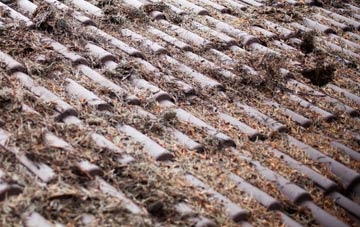 Goosey roof cleaning companies